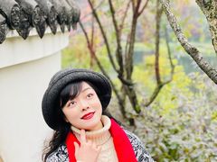 -重庆彩云湖湿地公园