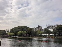 -新江湾城公园