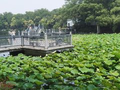 -包公祠