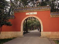 -灵谷景区