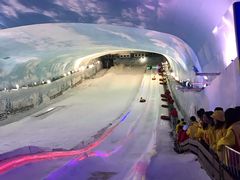 -世界之窗阿尔卑斯冰雪世界