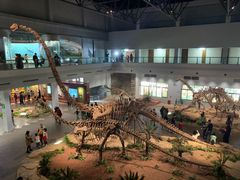 -自贡恐龙博物馆