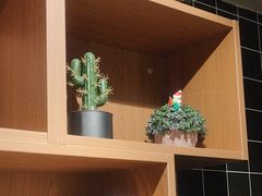 -梵猫·新养生(福州万象城店)