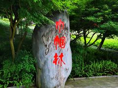 -龙头寺公园