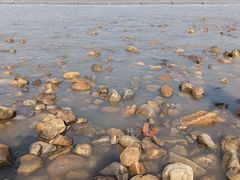 -东疆理想海岸沙滩景区