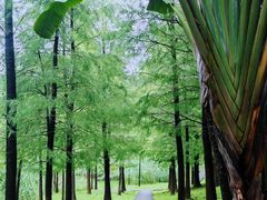 -行人小筑·茶馆(岑村火炉山分店)