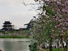 -海珠湖公园