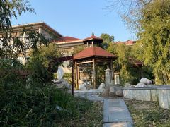 -金孔雀温泉旅游度假村