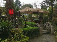 -青城甲(青城山店)