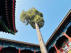 -恭王府博物馆
