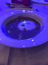 -上海大酒店·婚宴年会宴会厅