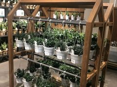 -鹿岛会员店 (龙湖三千集天街店)