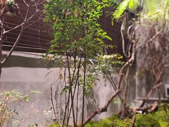 -森SPA·泰式按摩·精油Massage(宝安中心店)