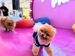 -开心巴士(世纪东方商业广场店)