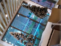 水产区-天空花园餐吧·生日·团建(南山店)