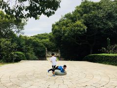 -青龙山公园