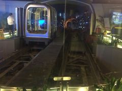 -东方明珠国际旅行社有限公司