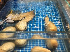-半岛听涛蒸汽海鲜自助(K11店)