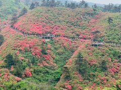 -木兰云雾山
