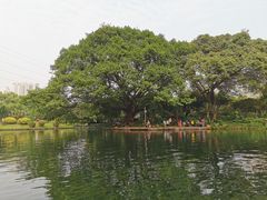 -晓港公园