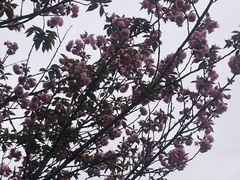 -凤凰沟景区