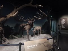 -大庆市博物馆