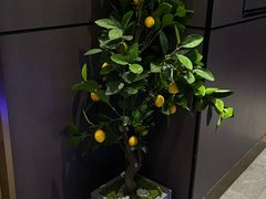 -7号院家宴.烧鸽子(门头沟店)
