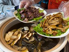 -爱膳菌锅锅(阳南店)