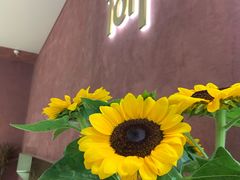 -Toris(LuOne凯德晶萃广场店)