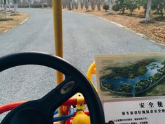 -南湖湿地公园