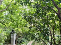 -静安公园(静安寺街道)