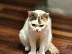 -顺德·古草食记(长寿店)