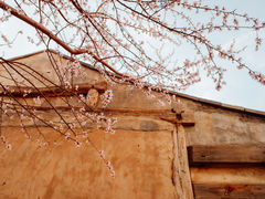 -三里河公园