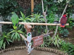 -南宫五洲植物乐园