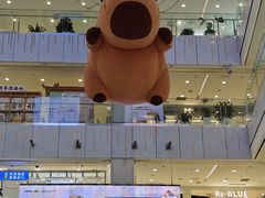 -凯德MALL(西直门店)