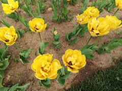 -长春公园(普阳街道)