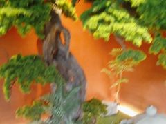 -阿伟海鲜楼·福建菜(延寿店)