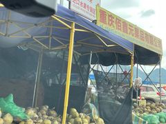 -双福水果批发市场