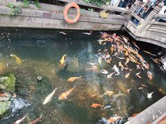-枫桥景区