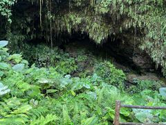 -海口火山口国家地质公园