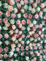 -变美丽半永久纹眉连锁·机器野生眉•洗眉