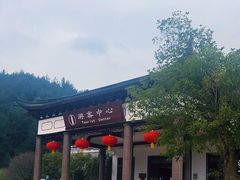 -溪口-滕头旅游景区