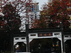 -深圳国际园林花卉博览园