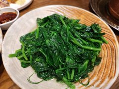 清炒豌豆尖-金孔雀德宏傣味餐馆(魏公村店)