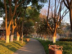 -圩墩遗址公园