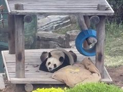 -大连森林动物园