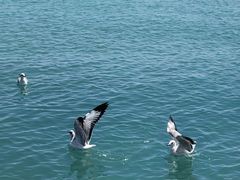 -青海湖二郎剑景区