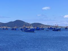 -海源公园