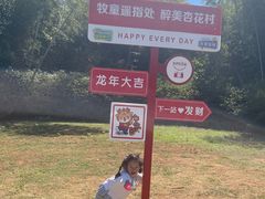 -杏花村文化旅游区