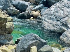 -石台牯牛降景区